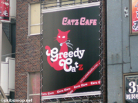 CATZ CAFE Greedy Catz